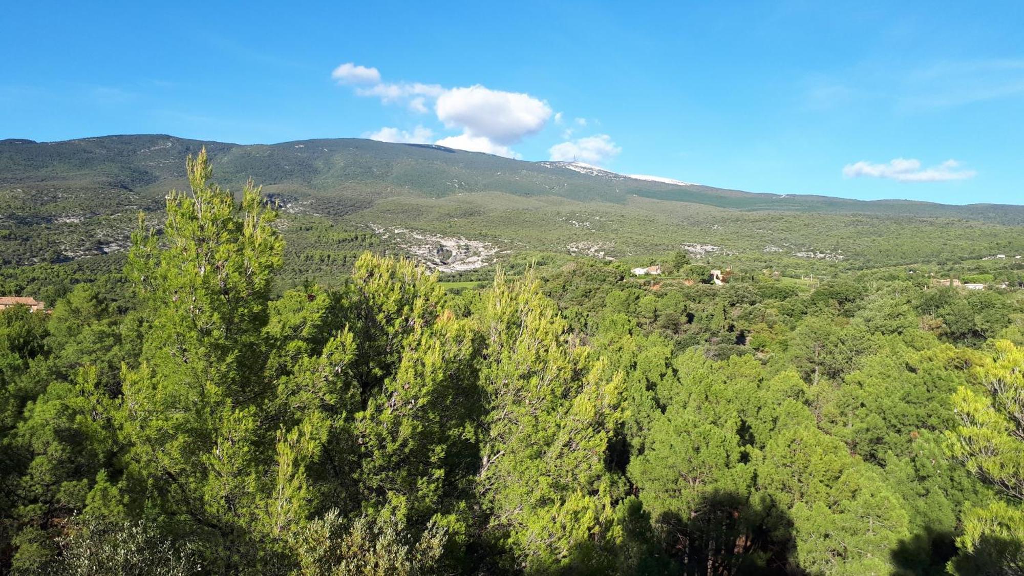 La Carriera, Petite Maison Sud Ventoux, Au Charme Provencal Бедуэн Экстерьер фото